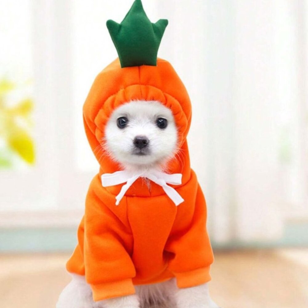 NEW!  Medium Carrot Print Sweatshirt Fleece for Small Pets